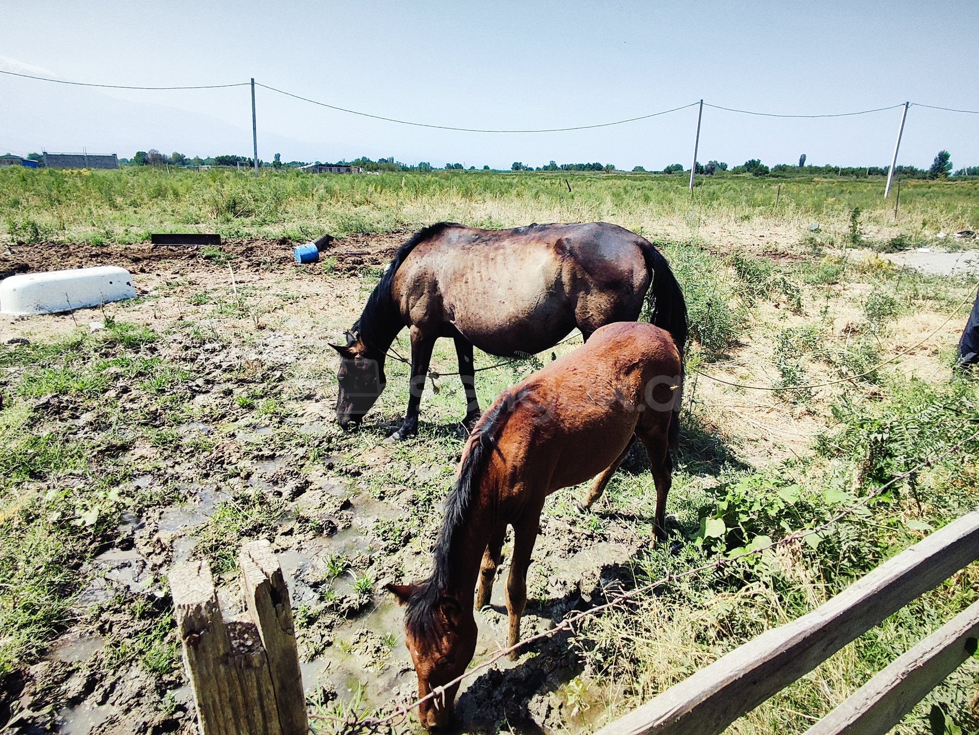2 Սենյականոց Սեփական Տուն, 64քմ