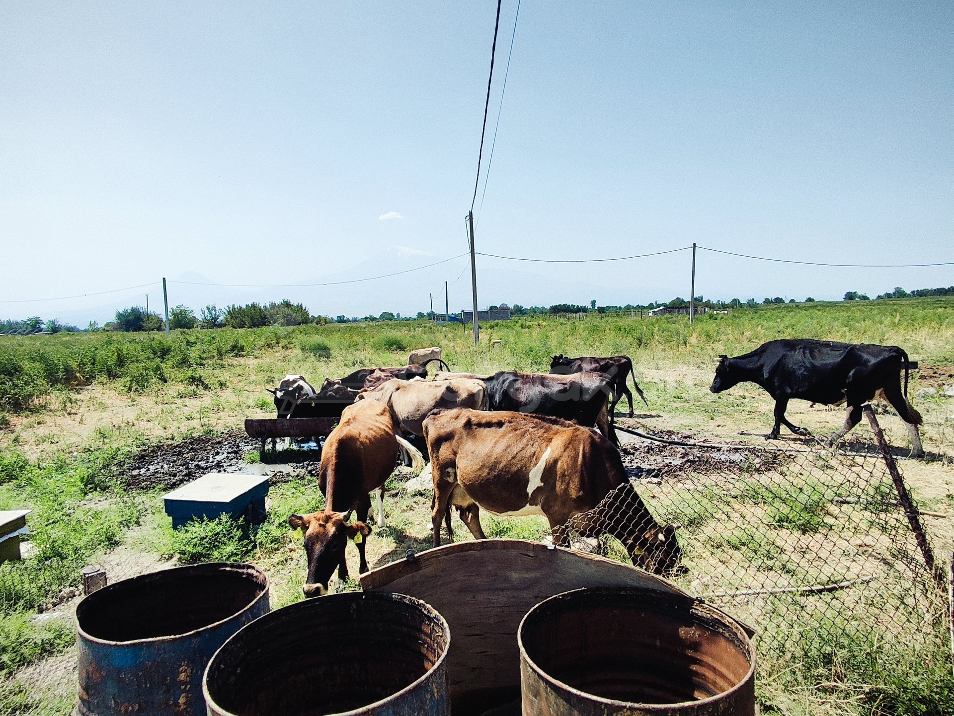 2 Սենյականոց Սեփական Տուն, 64քմ