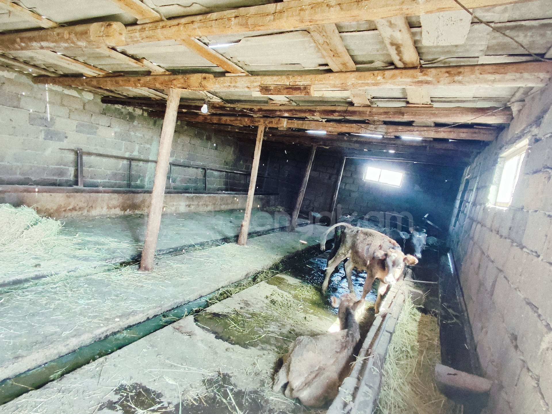 2 Սենյականոց Սեփական Տուն, 64քմ