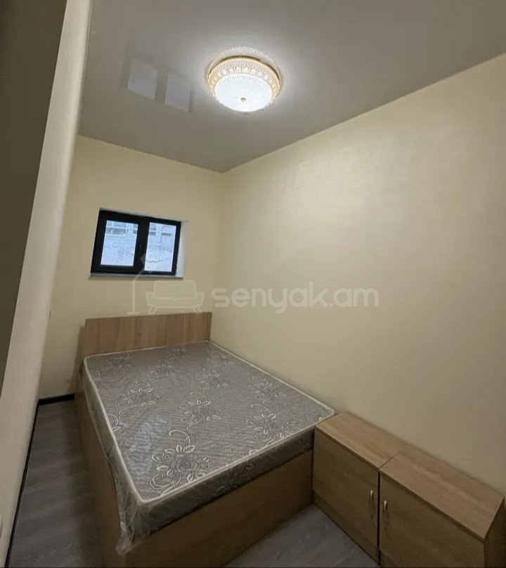 2 Սենյականոց Բնակարան Քարե Շենքում, 45քմ, 1/1 հարկ, Կապիտալ Վերանորոգված, Կահավորված