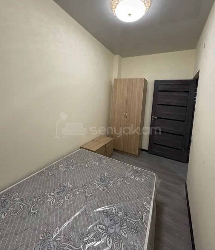 2 Սենյականոց Բնակարան Քարե Շենքում, 45քմ, 1/1 հարկ, Կապիտալ Վերանորոգված, Կահավորված