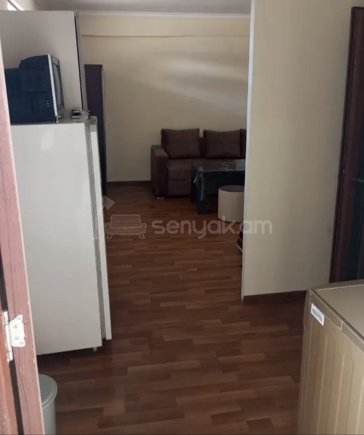 1 Սենյականոց Բնակարան Քարե Շենքում, 35քմ, 1/1 հարկ, Նորմալ Վիճակում, Կահավորված
