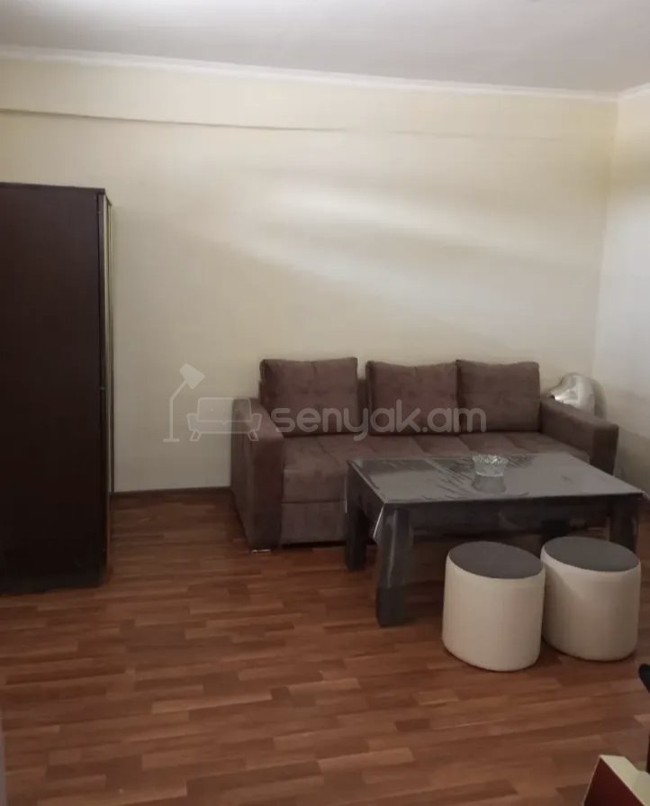 1 Սենյականոց Բնակարան Քարե Շենքում, 35քմ, 1/1 հարկ, Նորմալ Վիճակում, Կահավորված