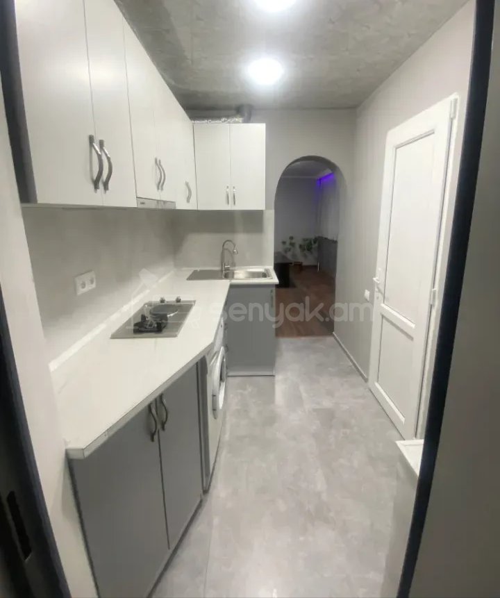 1 Սենյականոց Բնակարան Քարե Շենքում, 45քմ, 1/1 հարկ, Կապիտալ Վերանորոգված, Կահավորված