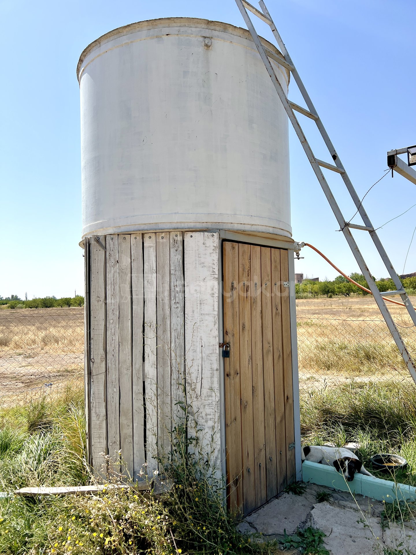 Այգի, 6000քմ, Ոռոգման Ջրով, Էլեկտրականությամբ, Ցանկապատված