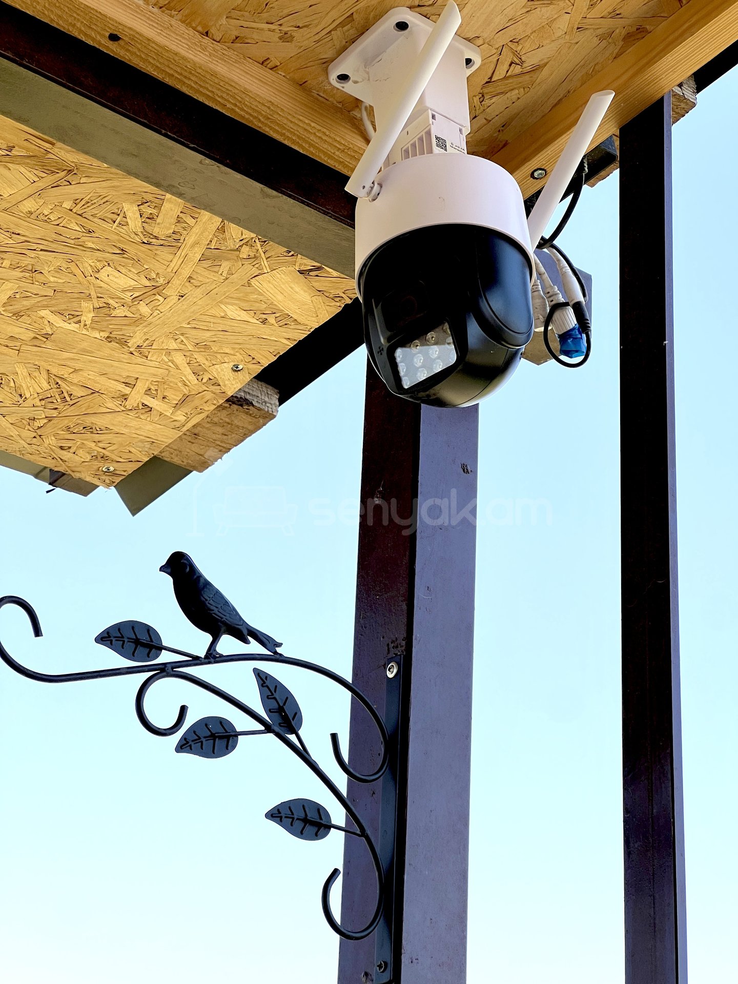 Այգի, 6000քմ, Ոռոգման Ջրով, Էլեկտրականությամբ, Ցանկապատված