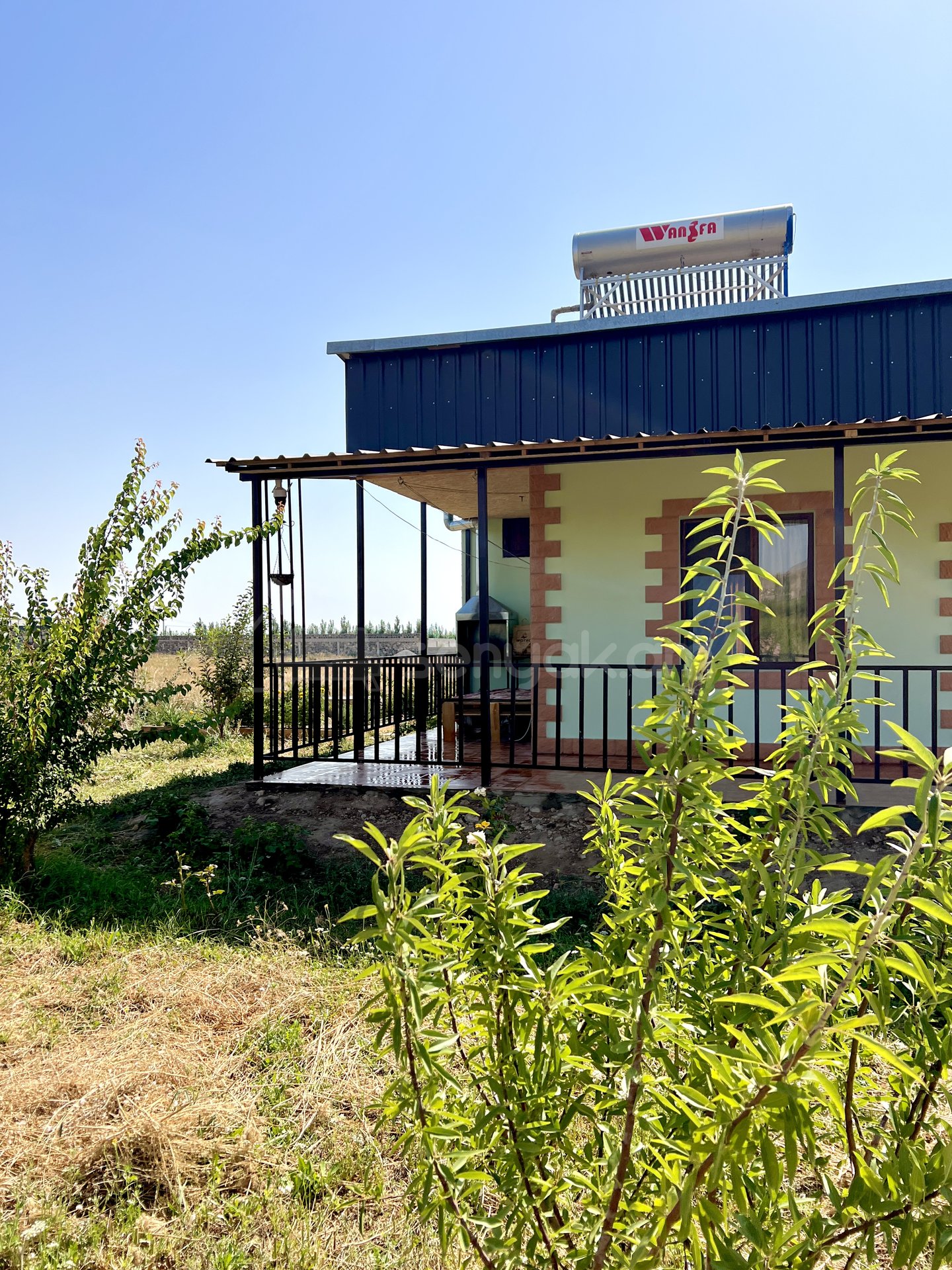 Այգի, 6000քմ, Ոռոգման Ջրով, Էլեկտրականությամբ, Ցանկապատված