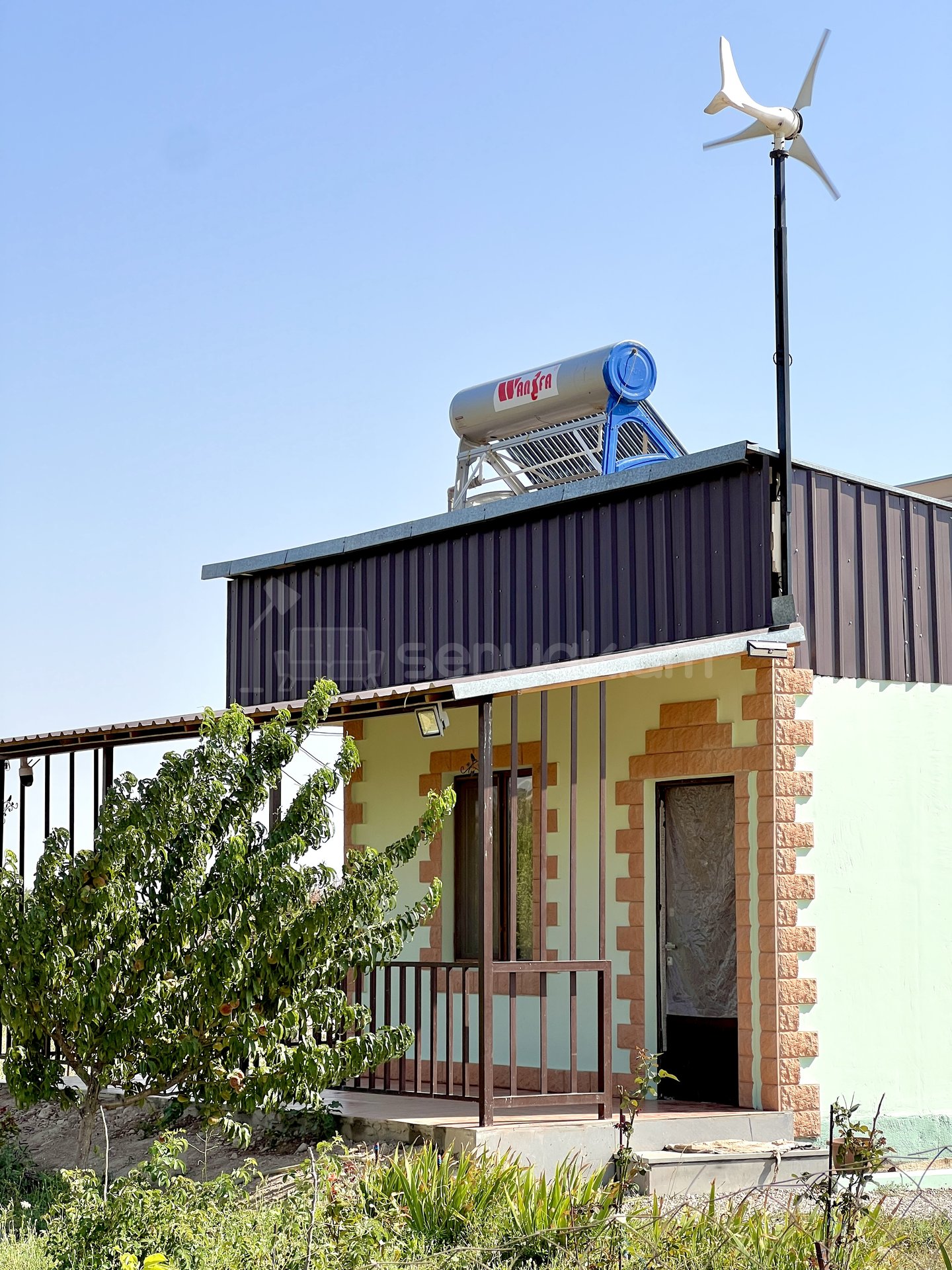 Այգի, 6000քմ, Ոռոգման Ջրով, Էլեկտրականությամբ, Ցանկապատված