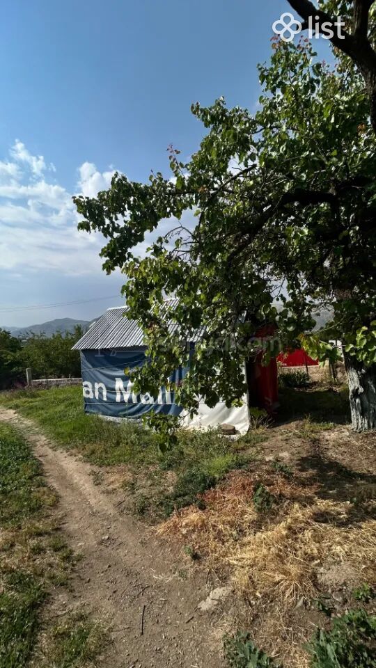 Այգի, 5160քմ, Ոռոգման Ջրով, Էլեկտրականությամբ