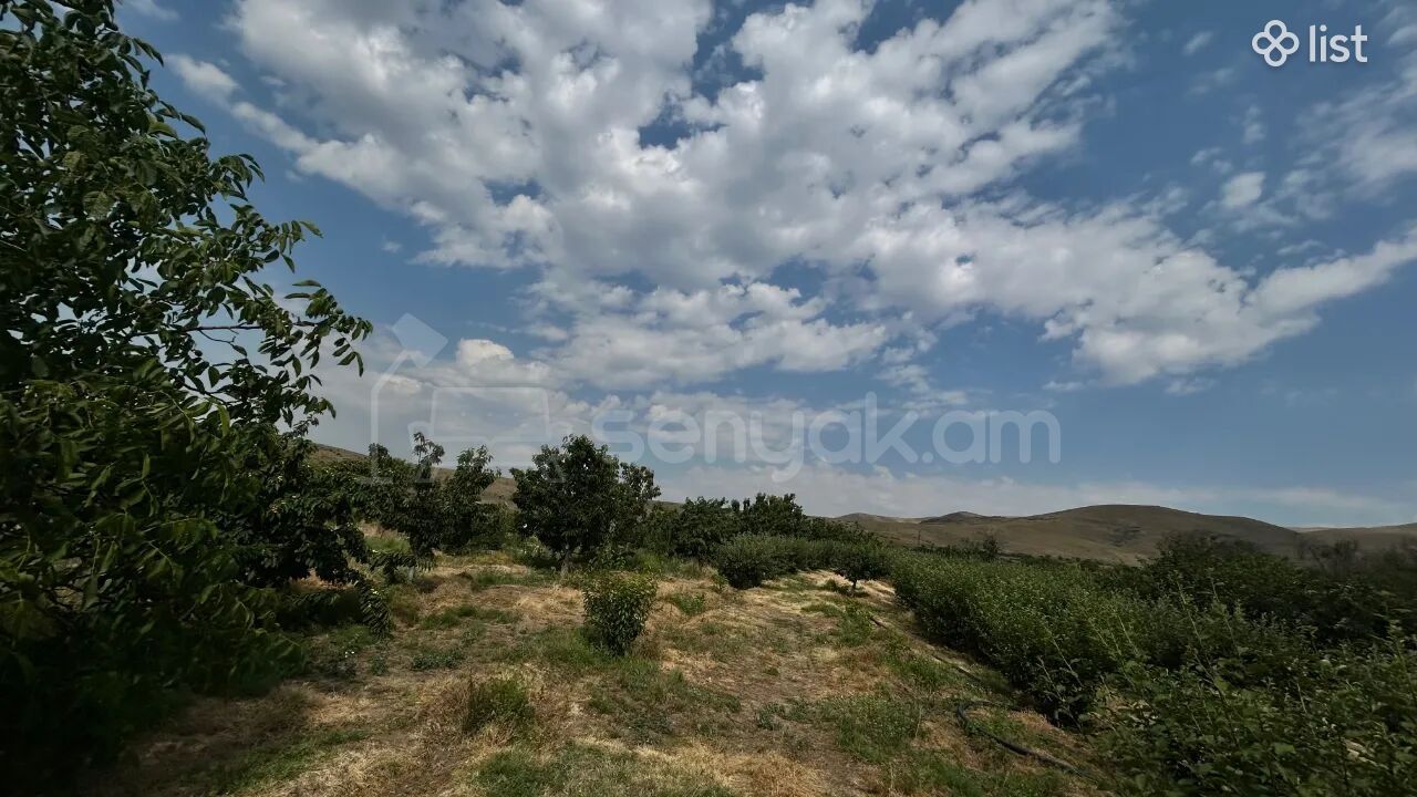 Այգի, 5160քմ, Ոռոգման Ջրով, Էլեկտրականությամբ