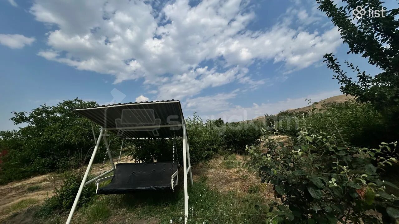 Այգի, 5160քմ, Ոռոգման Ջրով, Էլեկտրականությամբ