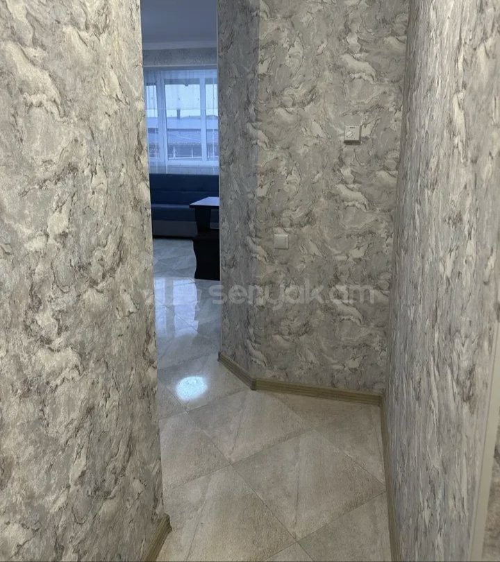 3 Սենյականոց Բնակարան Քարե Շենքում, 67քմ, 2/4 հարկ, Կապիտալ Վերանորոգված, Կահավորված