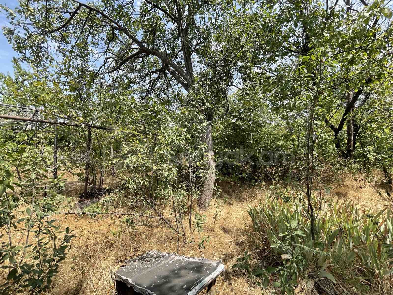 5 Սենյականոց Սեփական Տուն, 228քմ, Ավտոտնակով