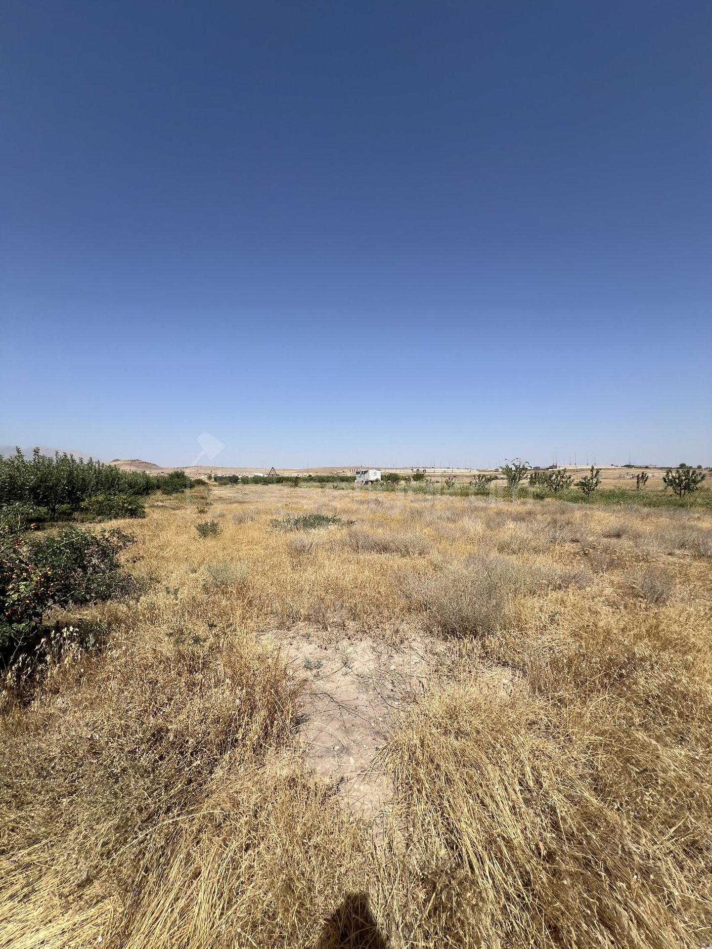 Հողամաս, 2530քմ, Ոռոգման Ջրով