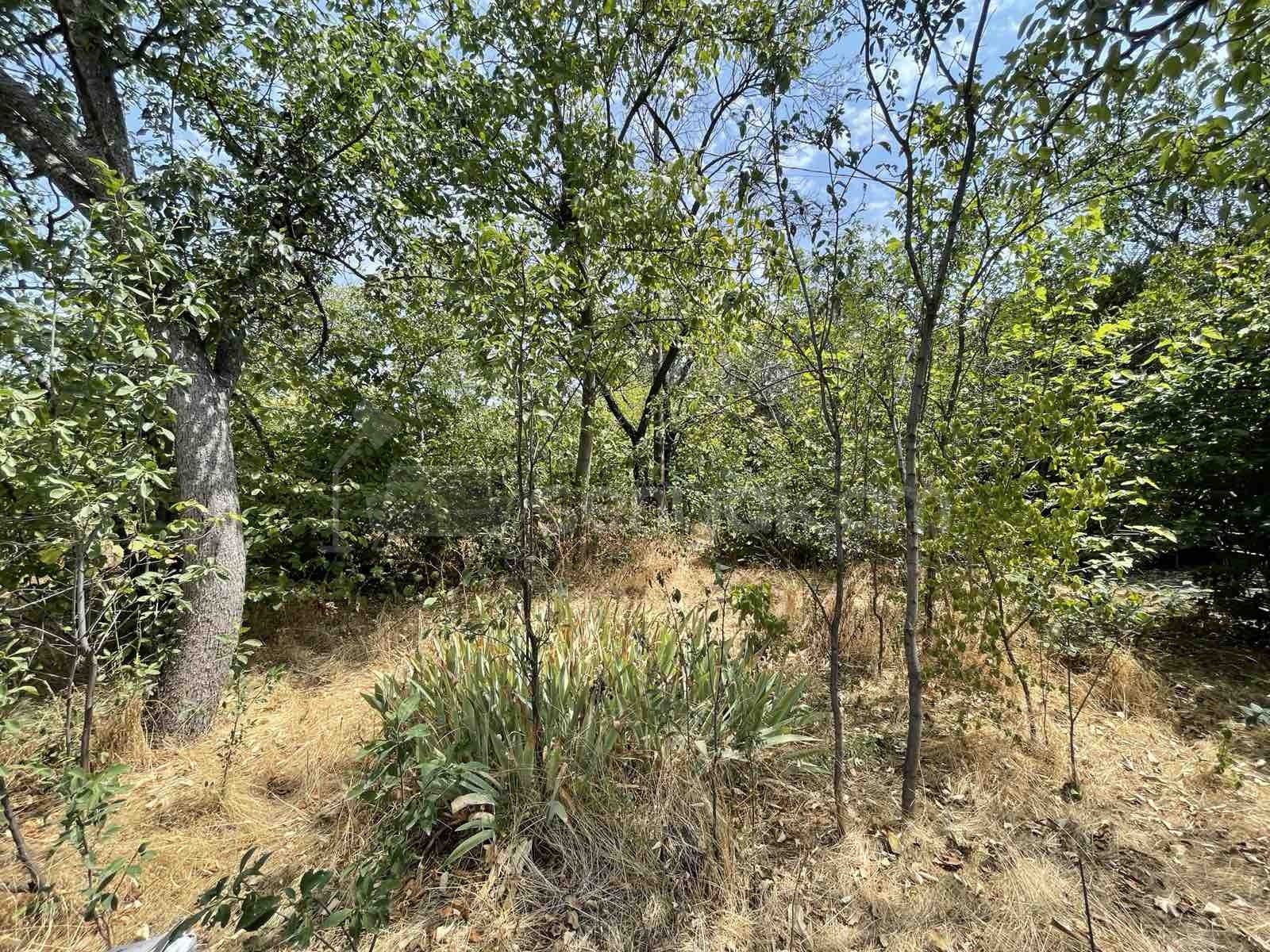 4 Սենյականոց Սեփական Տուն, 228քմ, Ավտոտնակով