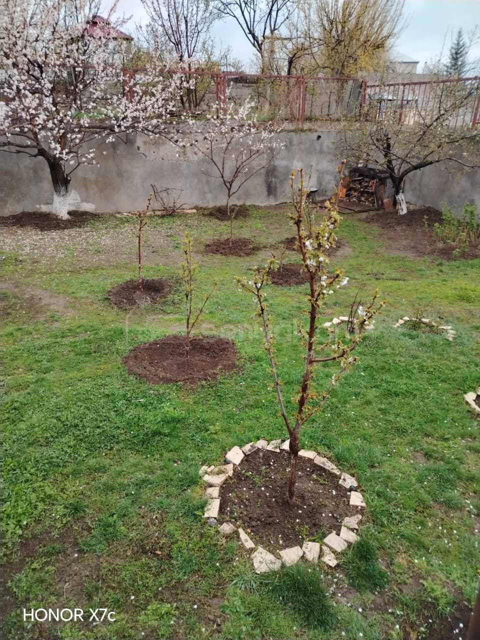 3 Սենյականոց Ամառանոց, 750քմ, Լողավազանով