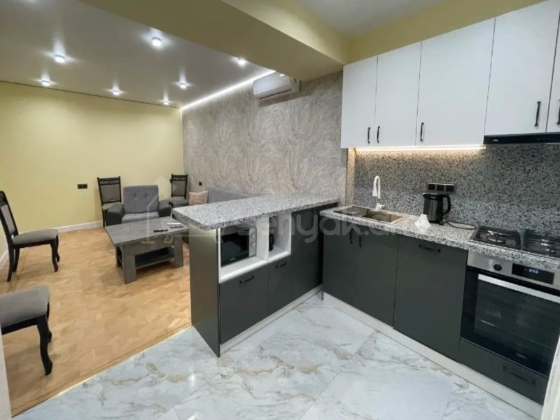 3 Սենյականոց Բնակարան, 67քմ, 2/10 հարկ, Դիզայներական Վերանորոգված, Կահավորված, Արևկող