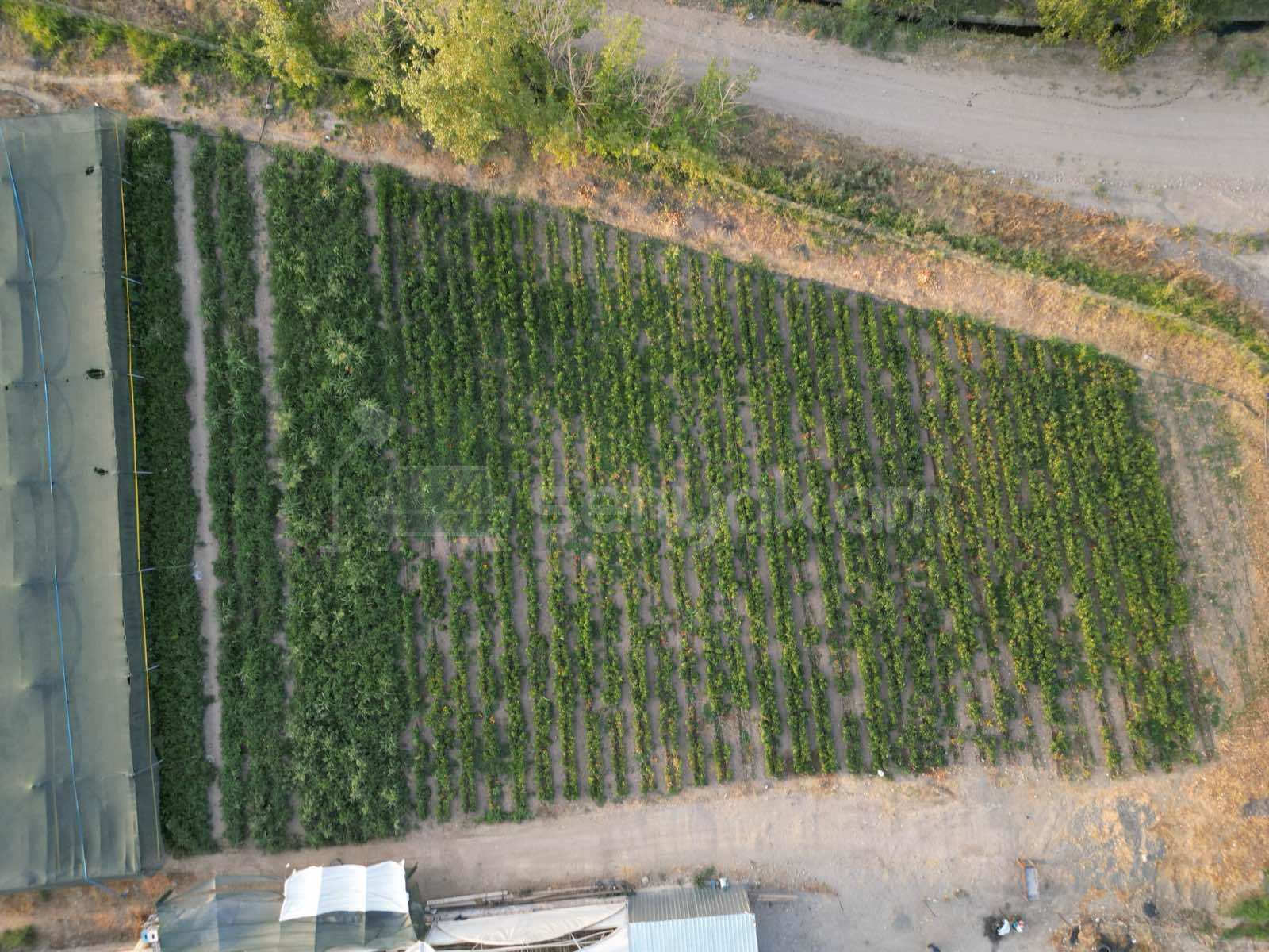 Կոմերցիոն Տարածք, 14000քմ