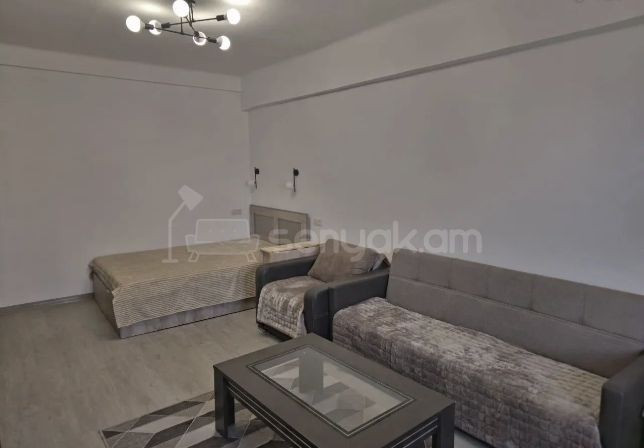 1 Սենյականոց Բնակարան, 48քմ, 4/9 հարկ, Դիզայներական Վերանորոգված, Կահավորված, Արևկող