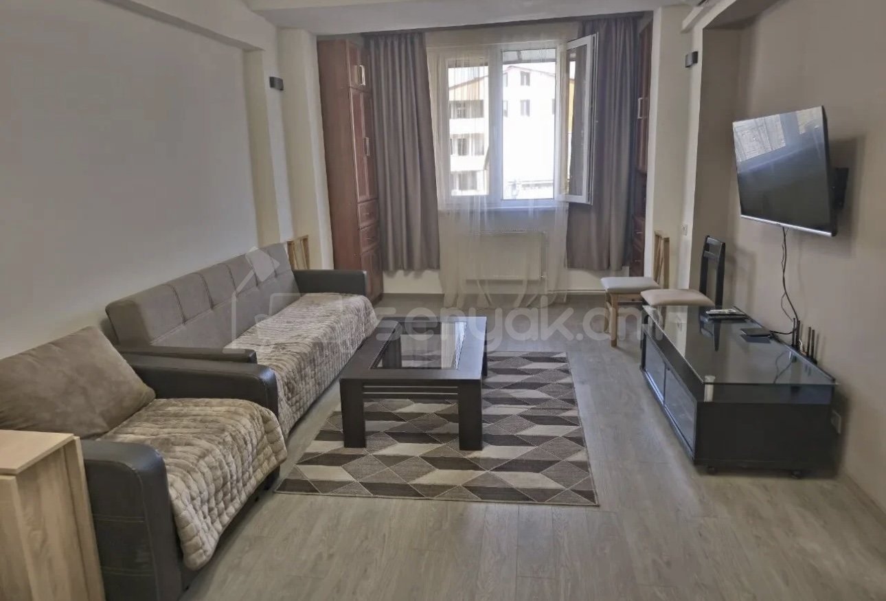 1 Սենյականոց Բնակարան, 48քմ, 4/9 հարկ, Դիզայներական Վերանորոգված, Կահավորված, Արևկող