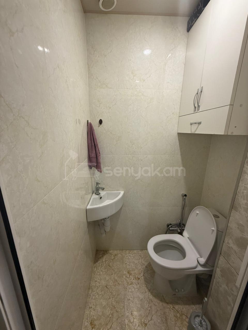 4 Սենյականոց Բնակարան, 96քմ, 8/9 հարկ, Կապիտալ Վերանորոգված, Կահավորված, Արևկող