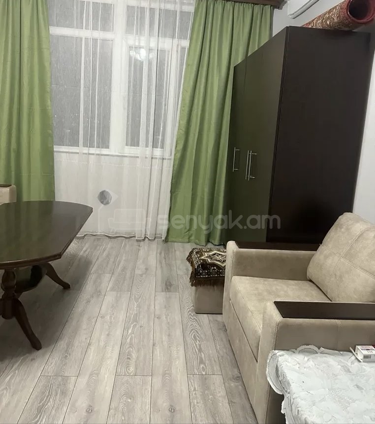 1 Սենյականոց Բնակարան Քարե Շենքում, 42քմ, 3/5 հարկ, Նորմալ Վիճակում, Կահավորված