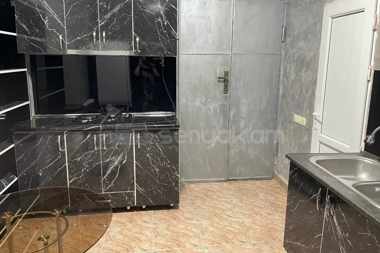 2 Սենյականոց Բնակարան Քարե Շենքում, 56քմ, 1/1 հարկ, Կապիտալ Վերանորոգված, Կահավորված