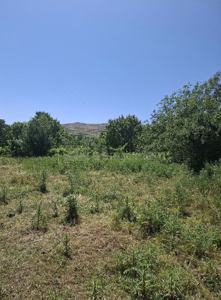 Բնակելի Նշանակության Հողատարածք, 1850քմ