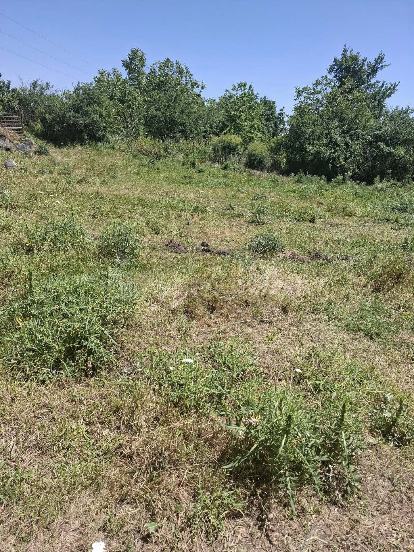 Բնակելի Նշանակության Հողատարածք, 1850քմ