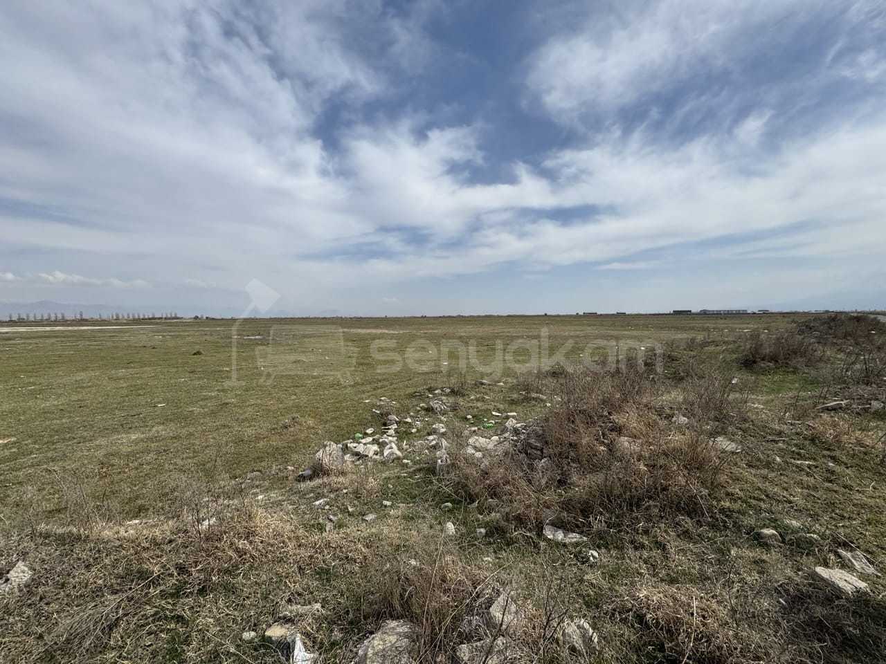 Այգի, 300քմ