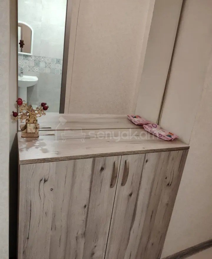 1 Սենյականոց Բնակարան Քարե Շենքում, 45քմ, 2/5 հարկ, Կապիտալ Վերանորոգված, Կահավորված