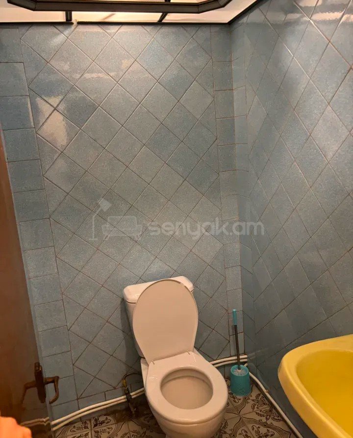 2 Սենյականոց Բնակարան, 70քմ, 1/9 հարկ, Կոսմետիկ Վերանորոգված, Կահավորված, Արևկող