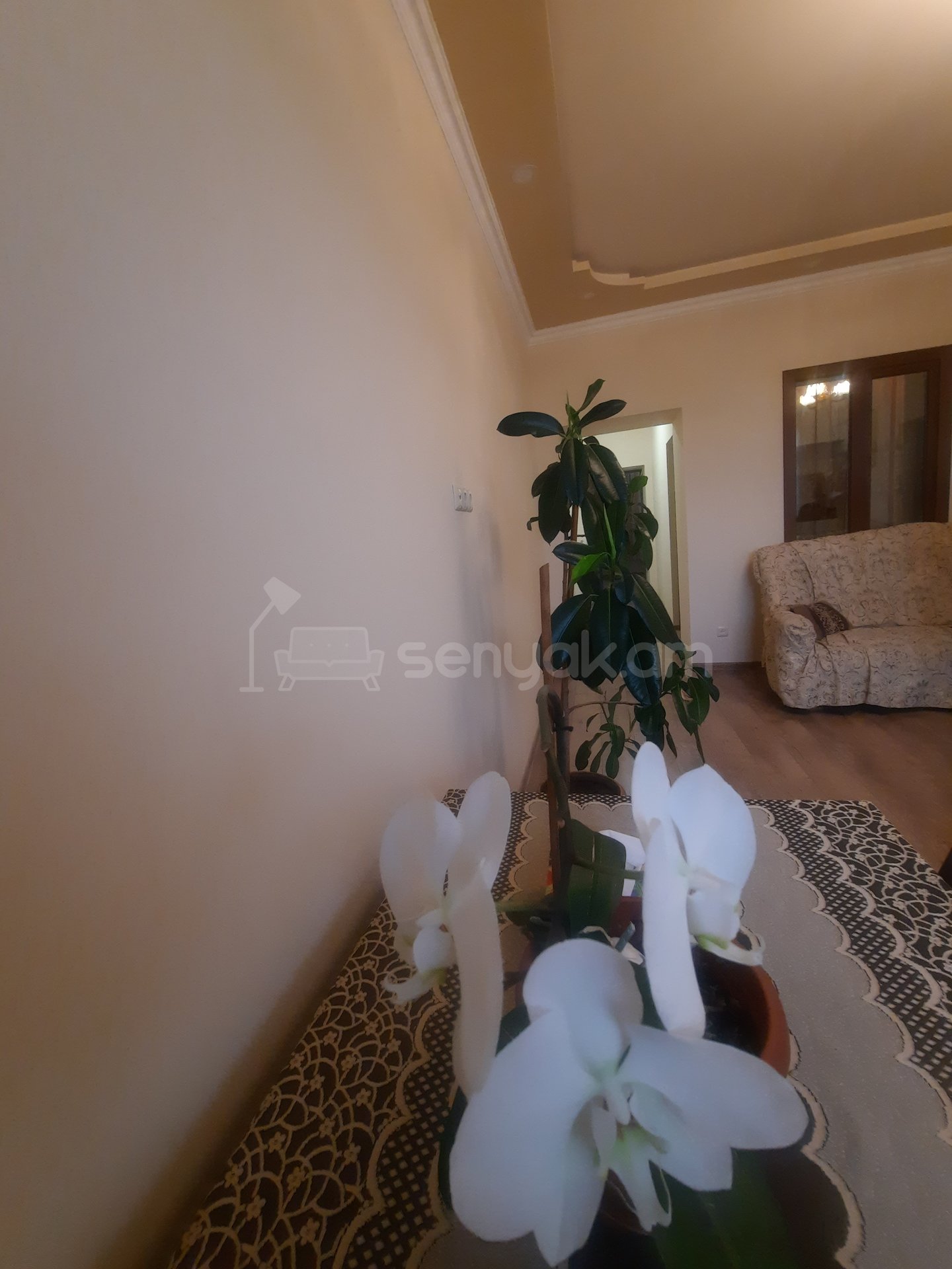 3 Սենյականոց Սեփական Տուն, 65քմ, Կապիտալ Վերանորոգված