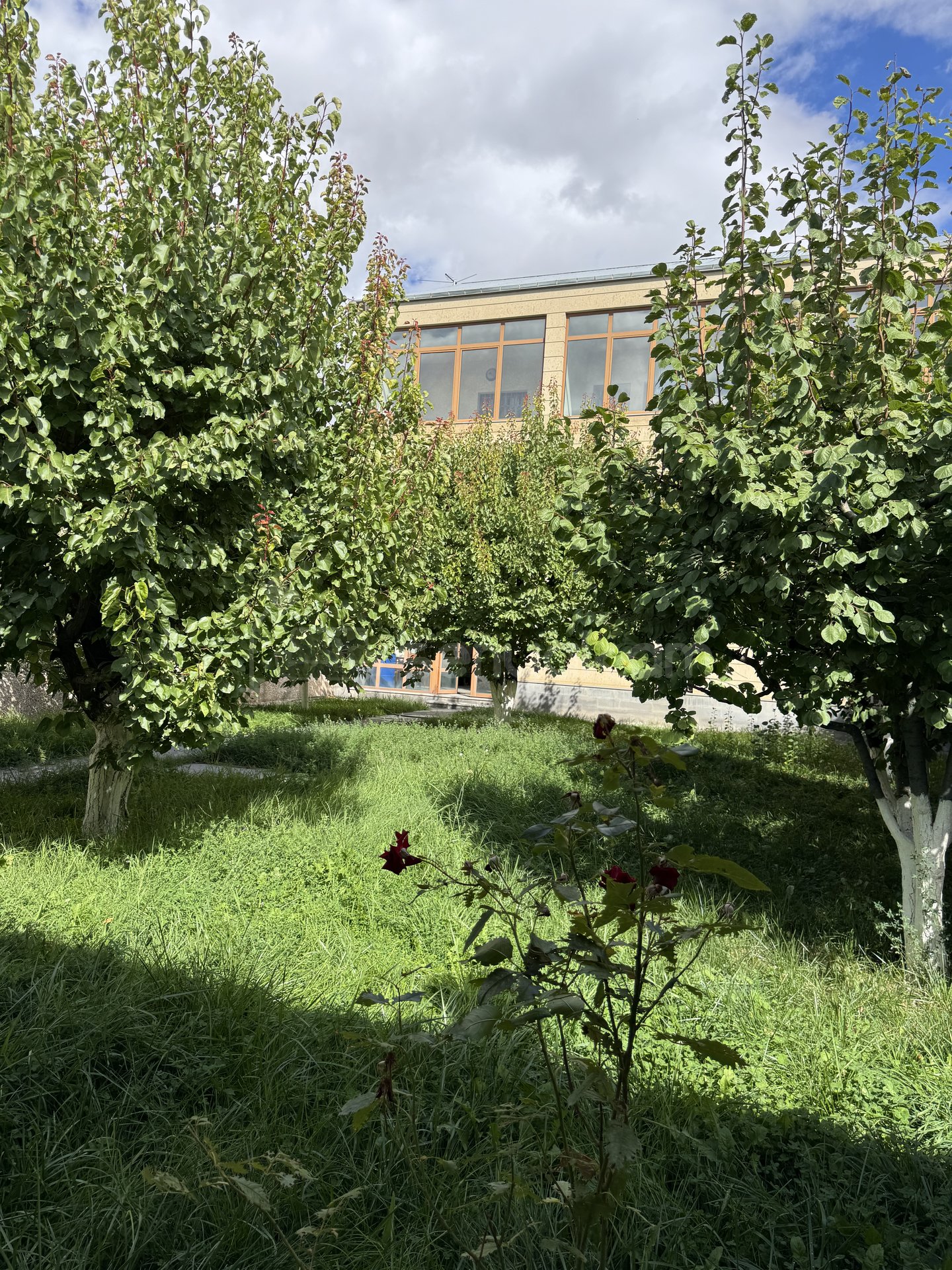 5 Սենյականոց Ամառանոց, 391քմ, Լողավազանով, Ավտոտնակով