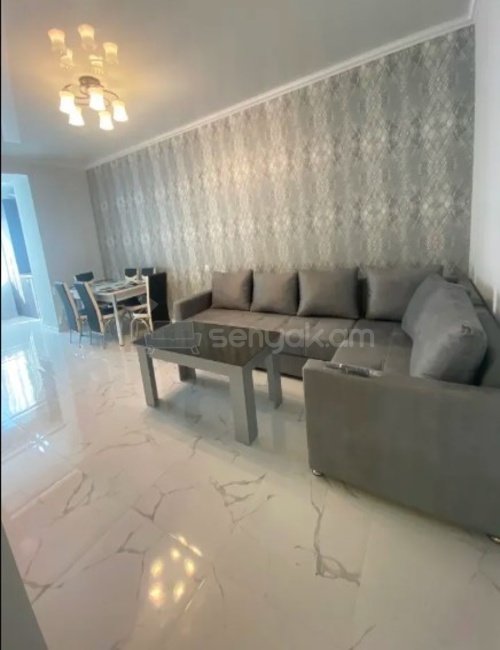 2 Սենյականոց Բնակարան Քարե Շենքում, 45քմ, 2/4 հարկ, Կապիտալ Վերանորոգված, Կահավորված, Արևկող