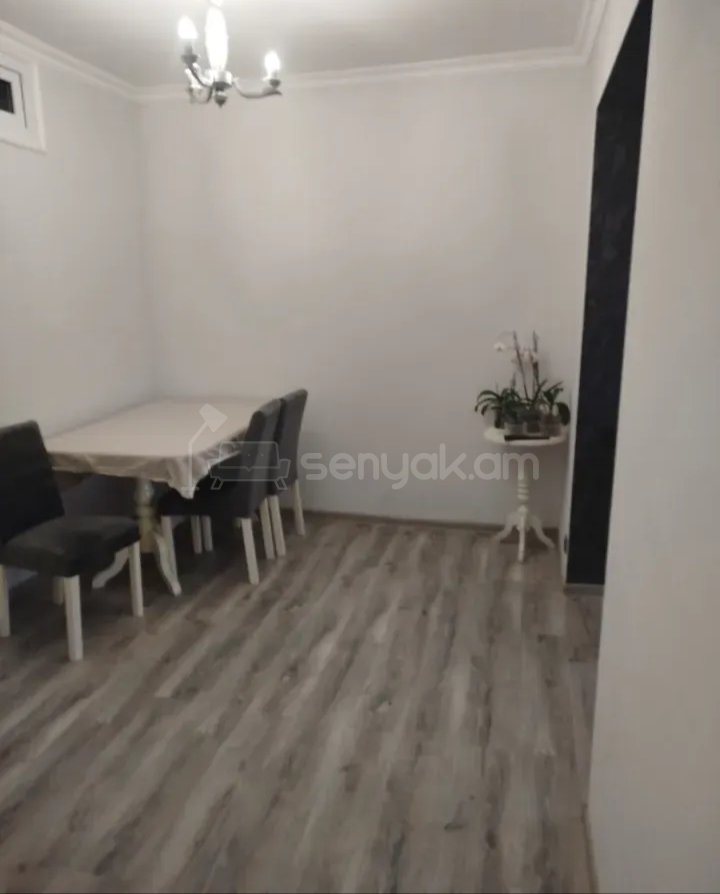 2 Սենյականոց Բնակարան Քարե Շենքում, 45քմ, 5/5 հարկ, Դիզայներական Վերանորոգված, Կահավորված