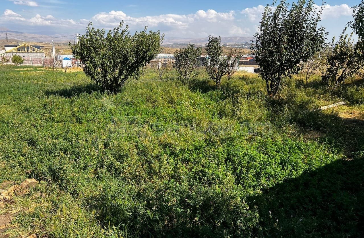 4 Սենյականոց Ամառանոց, 150քմ, Լողավազանով