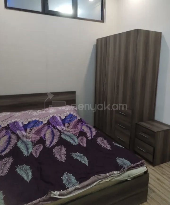 2 Սենյականոց Բնակարան Քարե Շենքում, 52քմ, 3/5 հարկ, Կապիտալ Վերանորոգված, Կահավորված, Արևկող