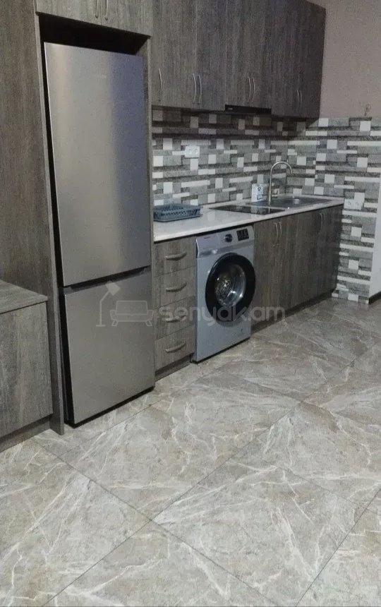 2 Սենյականոց Բնակարան Քարե Շենքում, 52քմ, 3/5 հարկ, Կապիտալ Վերանորոգված, Կահավորված, Արևկող