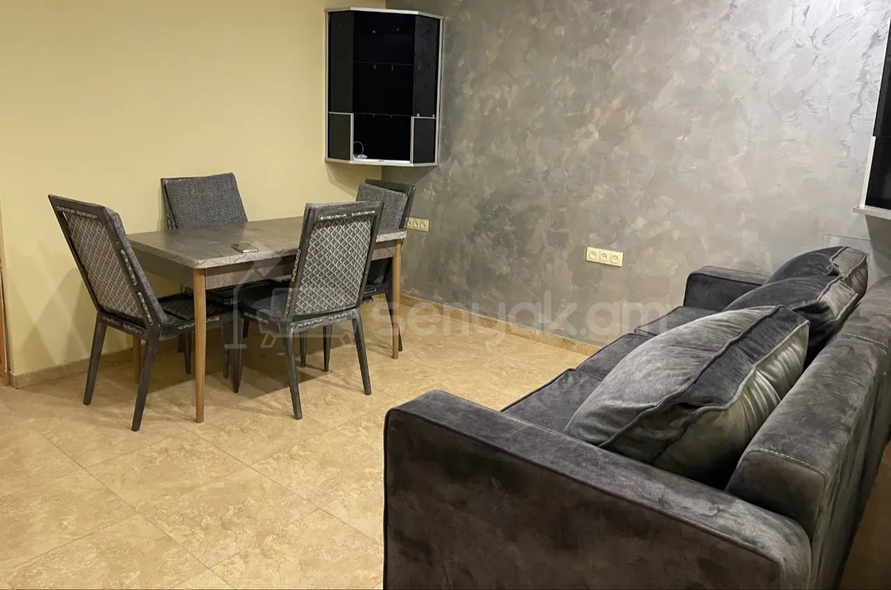 2 Սենյականոց Բնակարան Քարե Շենքում, 46քմ, 2/2 հարկ, Կապիտալ Վերանորոգված, Կահավորված, Արևկող