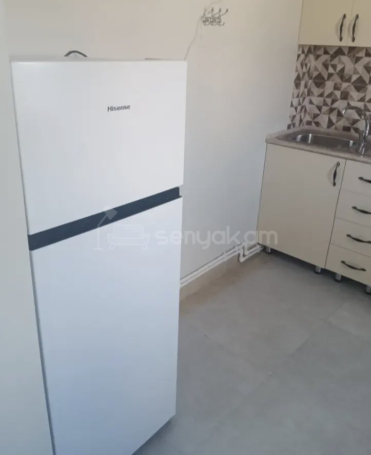 2 Սենյականոց Բնակարան Քարե Շենքում, 52քմ, 3/5 հարկ, Կապիտալ Վերանորոգված, Կահավորված, Արևկող