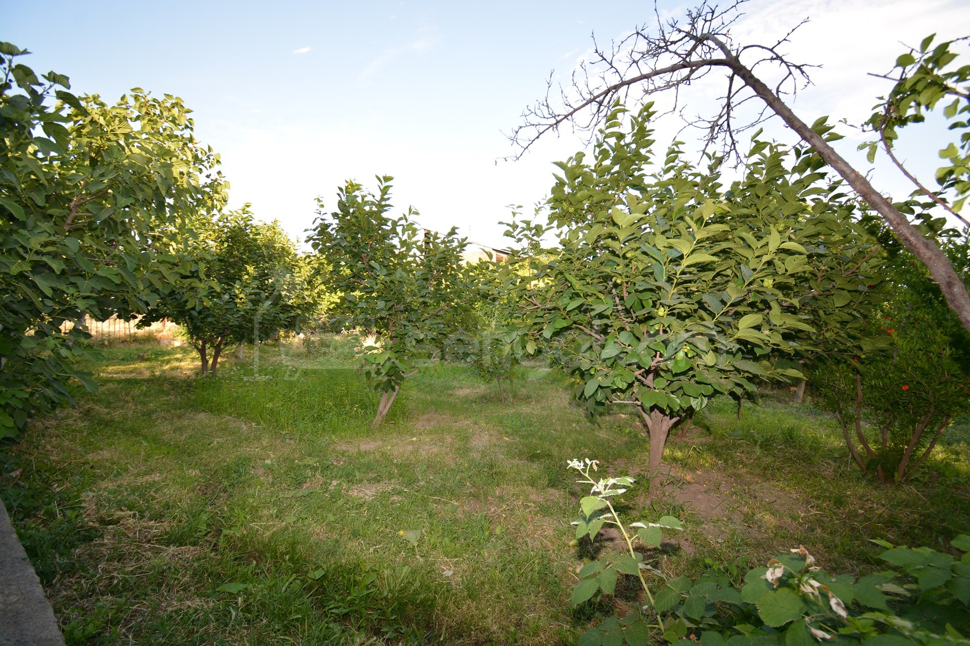 5 Սենյականոց Սեփական Տուն, 220քմ, Կոսմետիկ Վերանորոգված