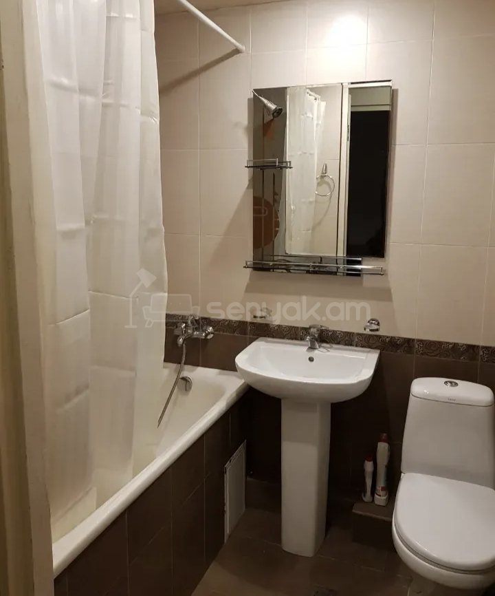 2 Սենյականոց Բնակարան Քարե Շենքում, 56քմ, 1/1 հարկ, Կապիտալ Վերանորոգված, Կահավորված