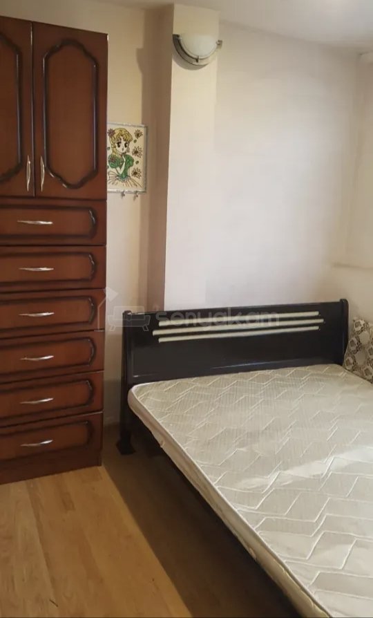 2 Սենյականոց Բնակարան Քարե Շենքում, 56քմ, 1/1 հարկ, Կապիտալ Վերանորոգված, Կահավորված