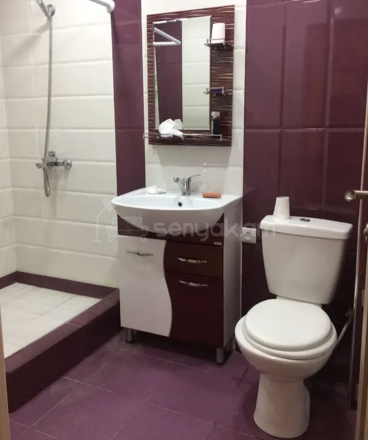 2 Սենյականոց Բնակարան Քարե Շենքում, 54քմ, 2/4 հարկ, Նորմալ Վիճակում, Կահավորված, Արևկող