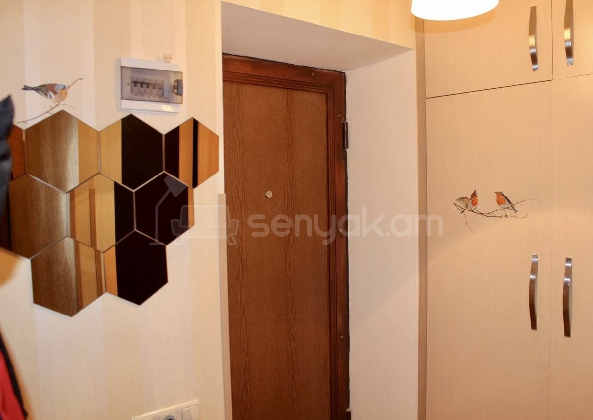 1 Սենյականոց Բնակարան Քարե Շենքում, 29քմ, 5/5 հարկ, Կոսմետիկ Վերանորոգված