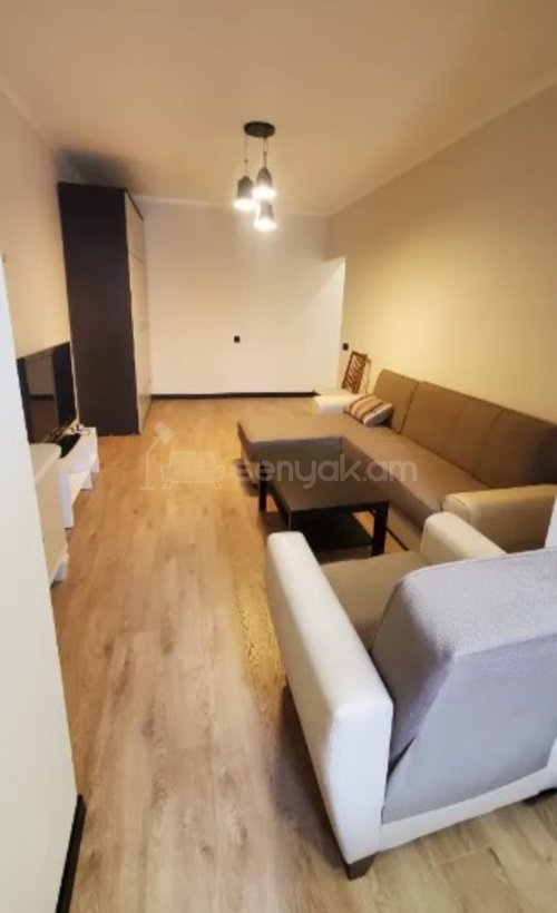 1 Սենյականոց Բնակարան Քարե Շենքում, 45քմ, 2/5 հարկ, Կապիտալ Վերանորոգված, Կահավորված, Արևկող