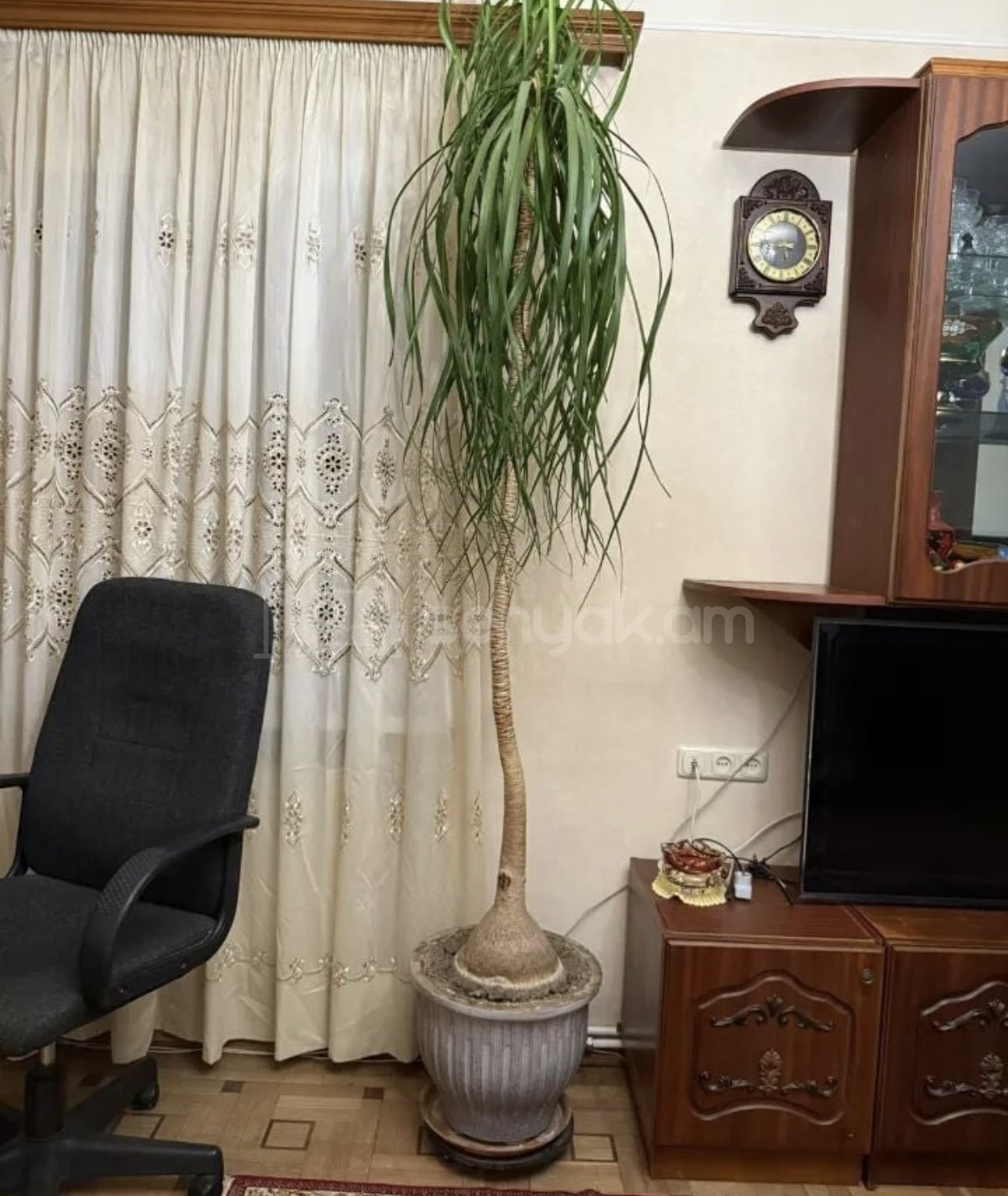 1 Սենյականոց Բնակարան, 55քմ, 2/9 հարկ, Նորմալ Վիճակում, Կահավորված, Արևկող