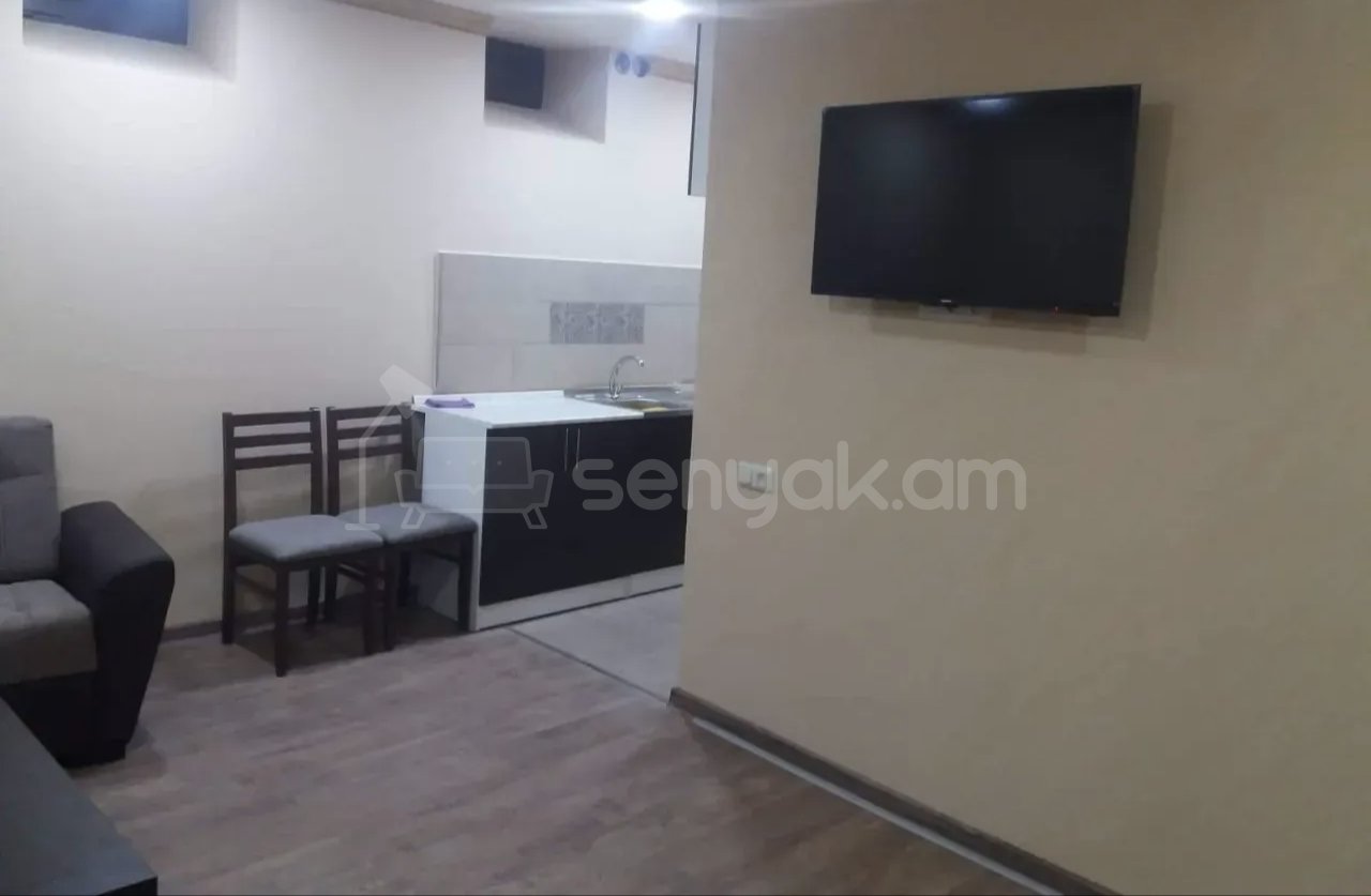 1 Սենյականոց Բնակարան Քարե Շենքում, 32քմ, 1/1 հարկ, Նորմալ Վիճակում, Կահավորված