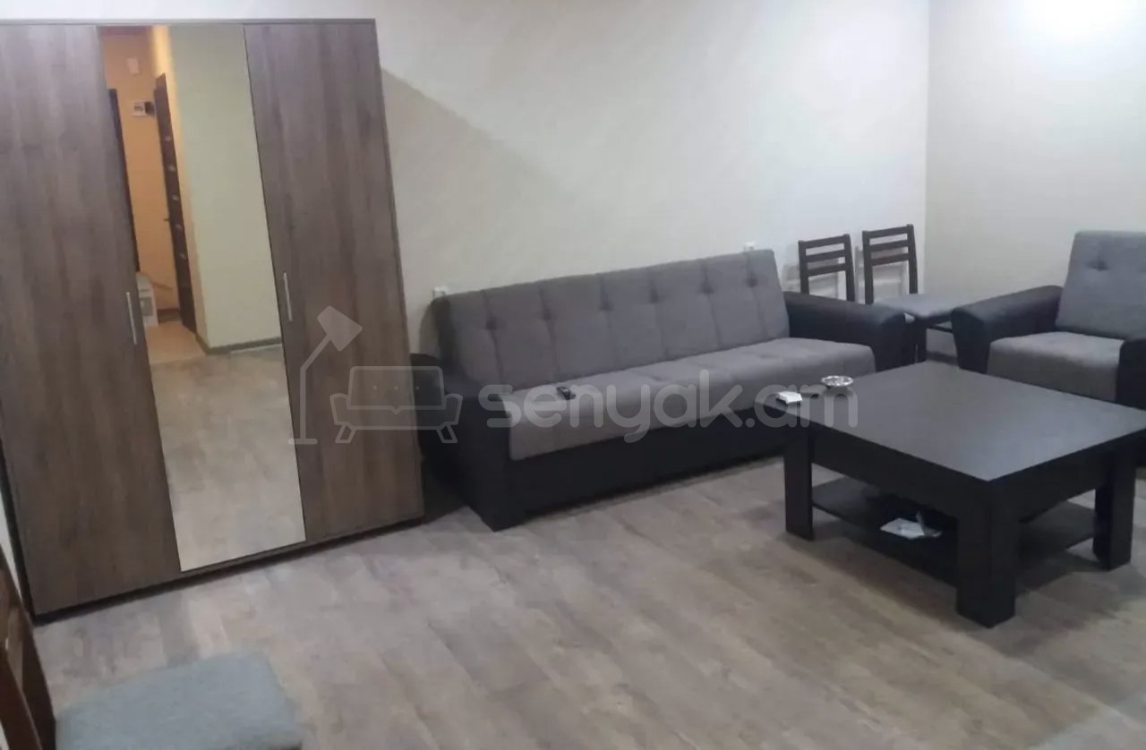 1 Սենյականոց Բնակարան Քարե Շենքում, 32քմ, 1/1 հարկ, Նորմալ Վիճակում, Կահավորված